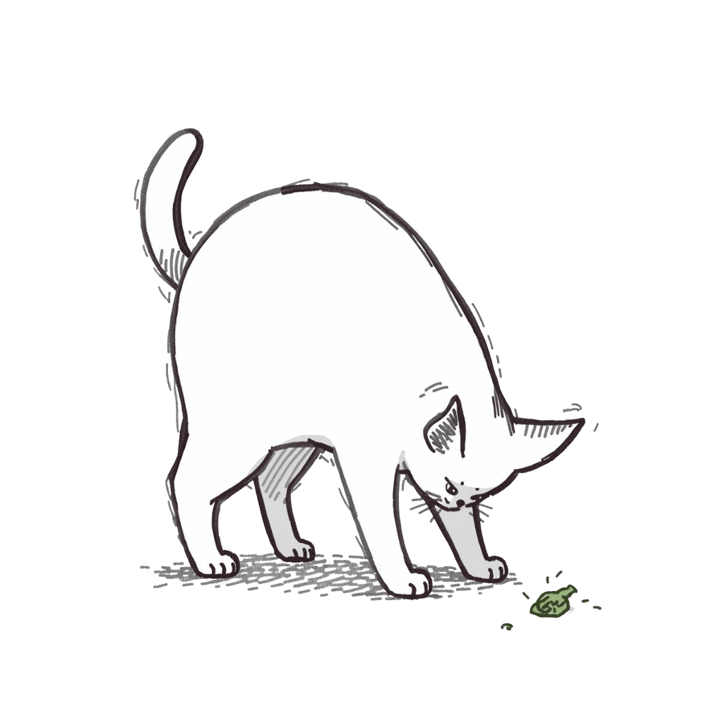 Wasabi